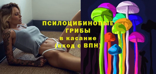 синтетический гашиш Алексин